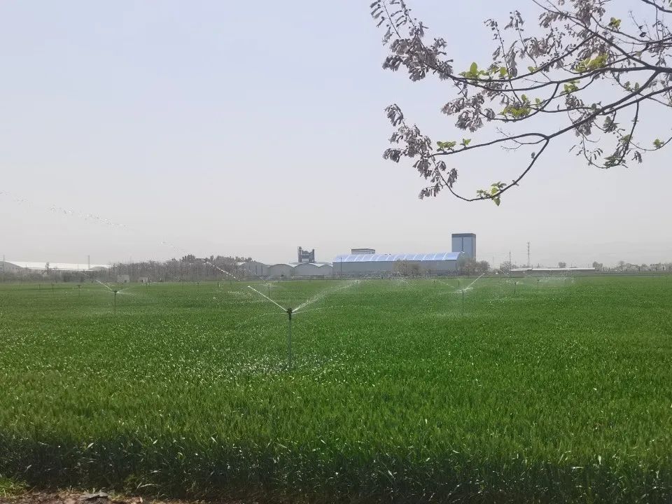 微信圖片_20250421101904.jpg
