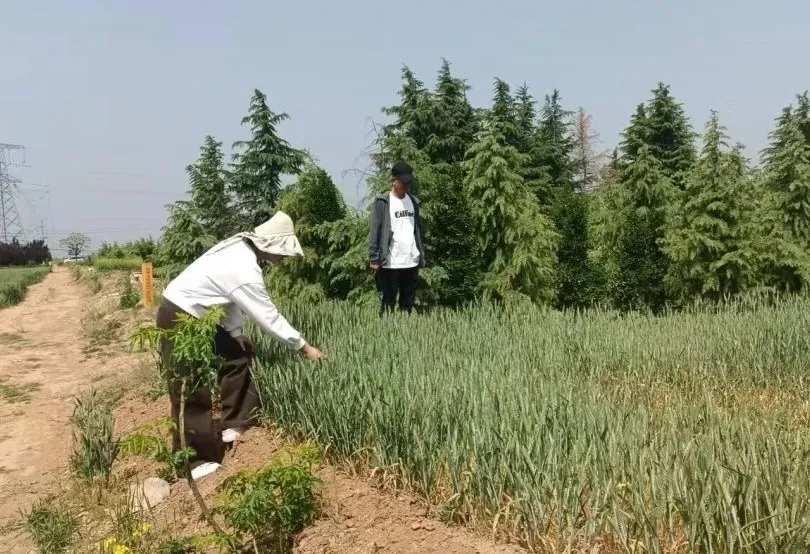 微信圖片_20250423095645.jpg